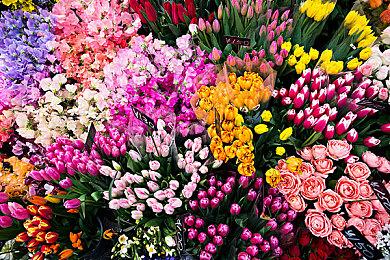 《瘟疫传说：安魂曲》赞誉宣传片 玩家数突破100万