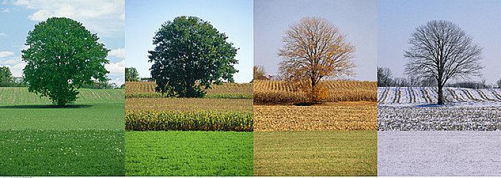 《霍格沃茨之遗》NS2版玩法预告发布 画质提升明显