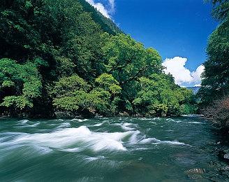 《匹诺曹的谎言》试玩期限延长 9月19日发售